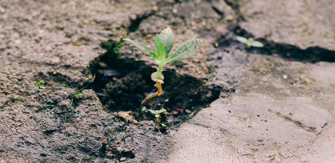 Cemento e calcestruzzo: la via della transizione ecologica